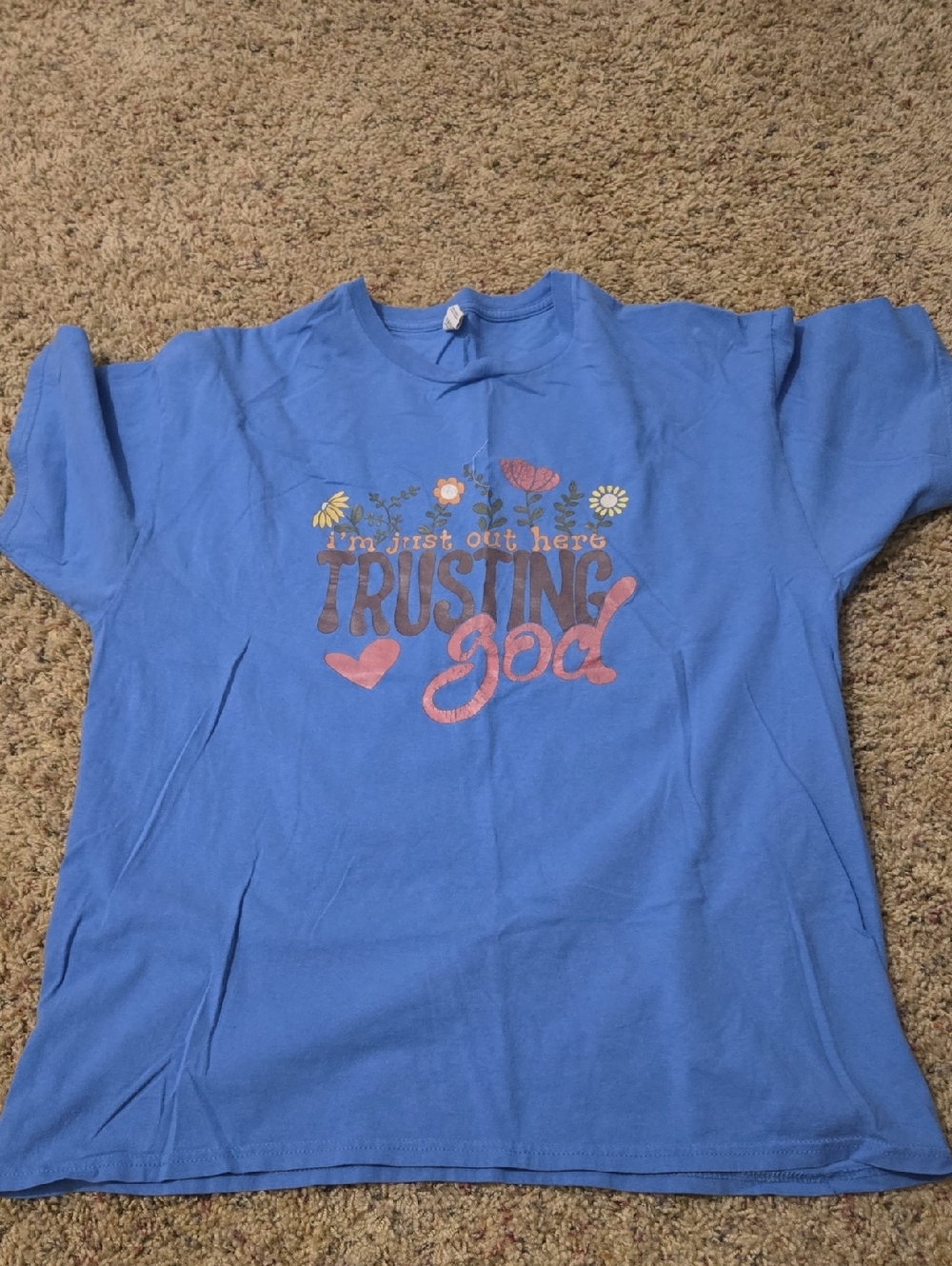 Fruit of the Loom Blue Graphic Tee with Pink Accents